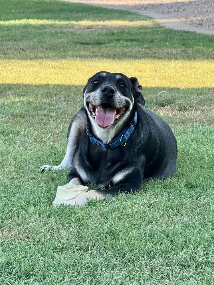 Precious thumbnail 5