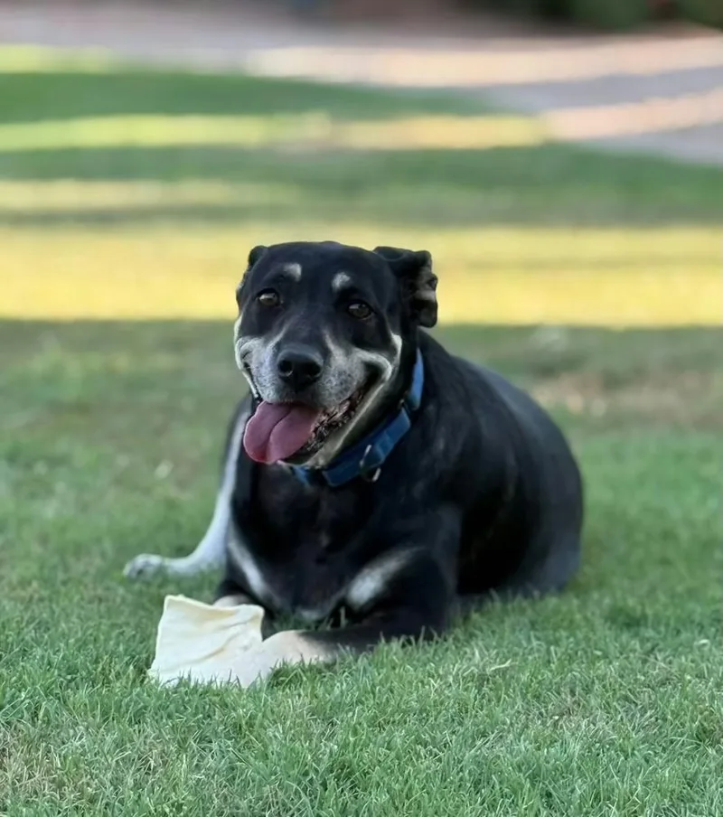 Precious thumbnail 6