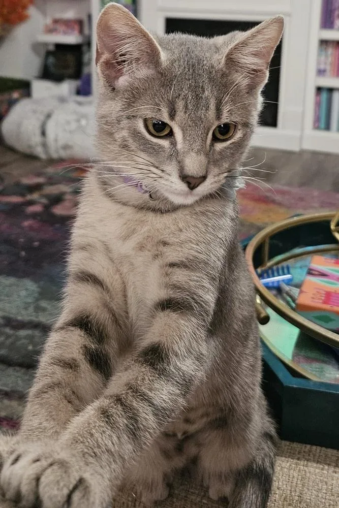 Finleigh thumbnail 2