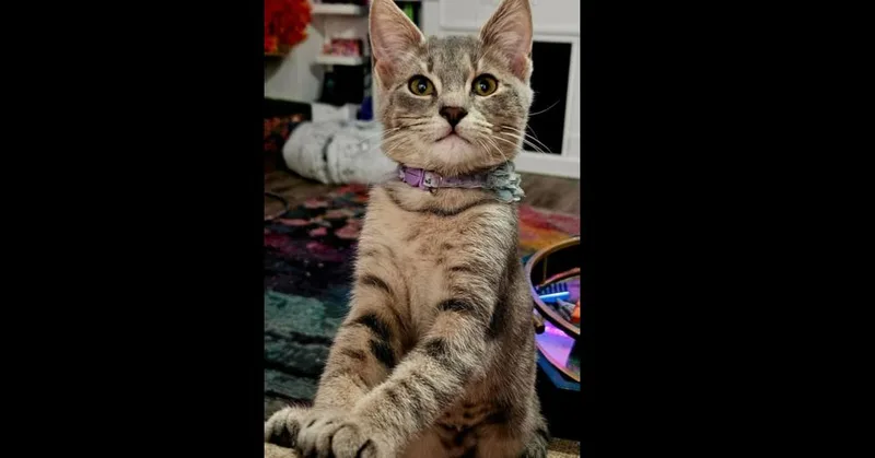 Finleigh thumbnail 3