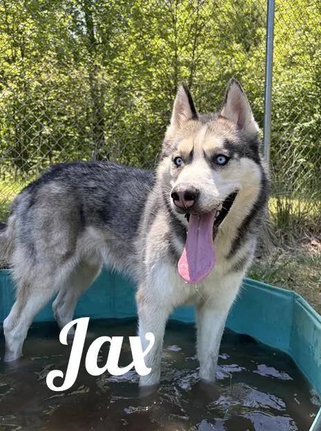Jax