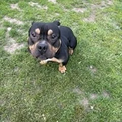 Axle