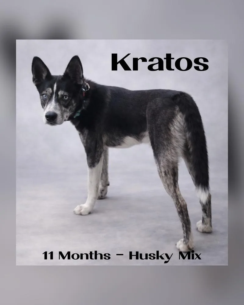 Kratos thumbnail 2