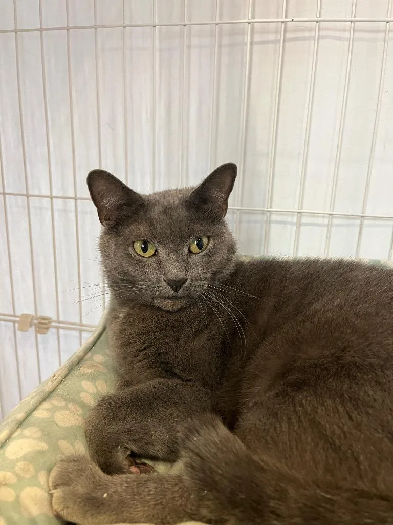 Smale Park thumbnail 2