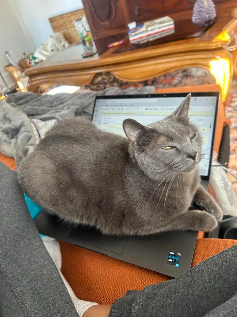 Smale Park thumbnail 3