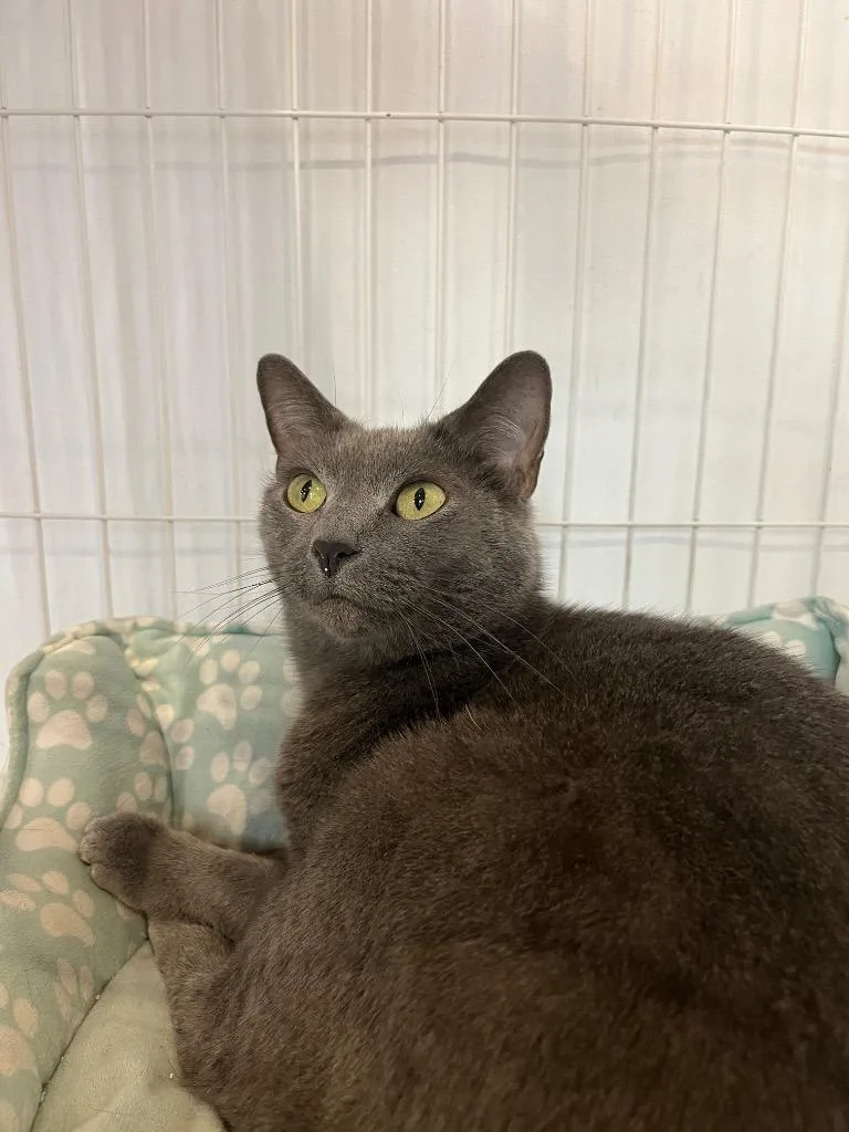 Smale Park thumbnail 5