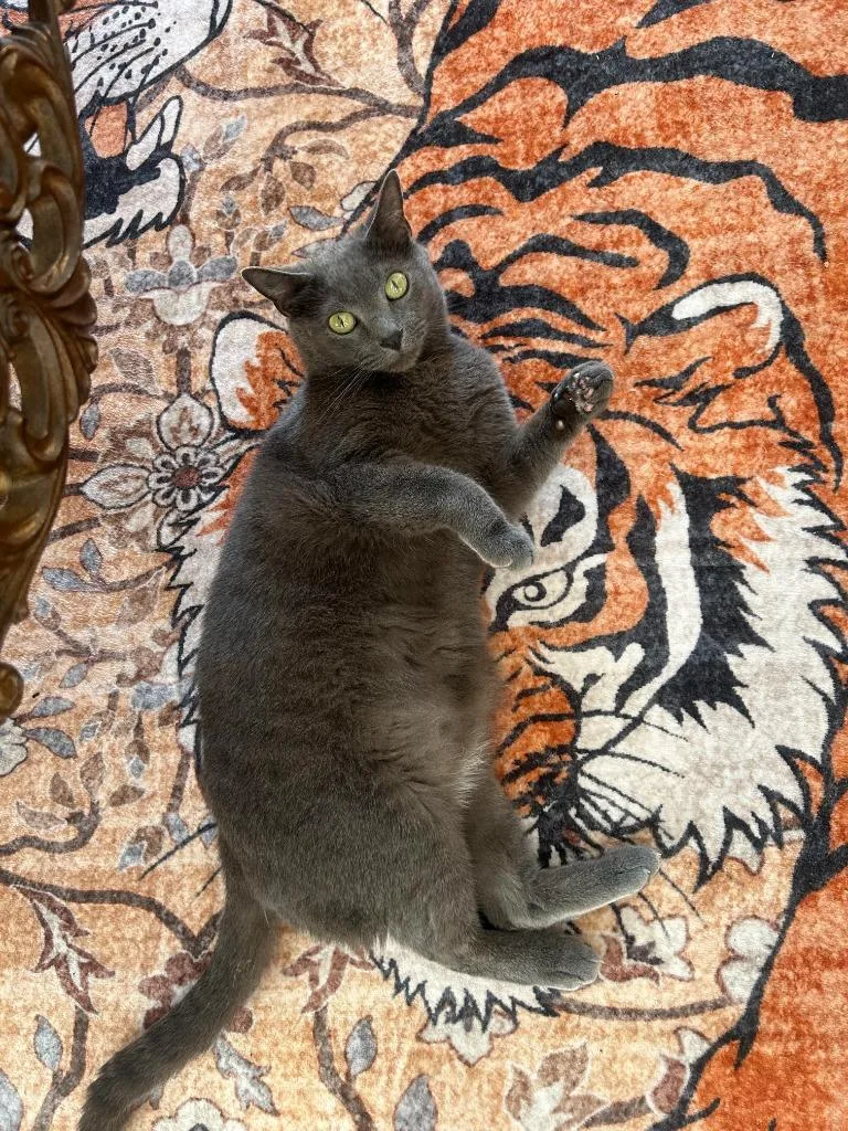 Smale Park thumbnail 6