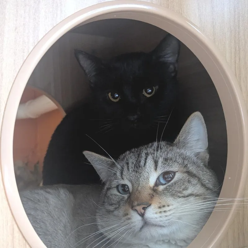 Mike White thumbnail 3