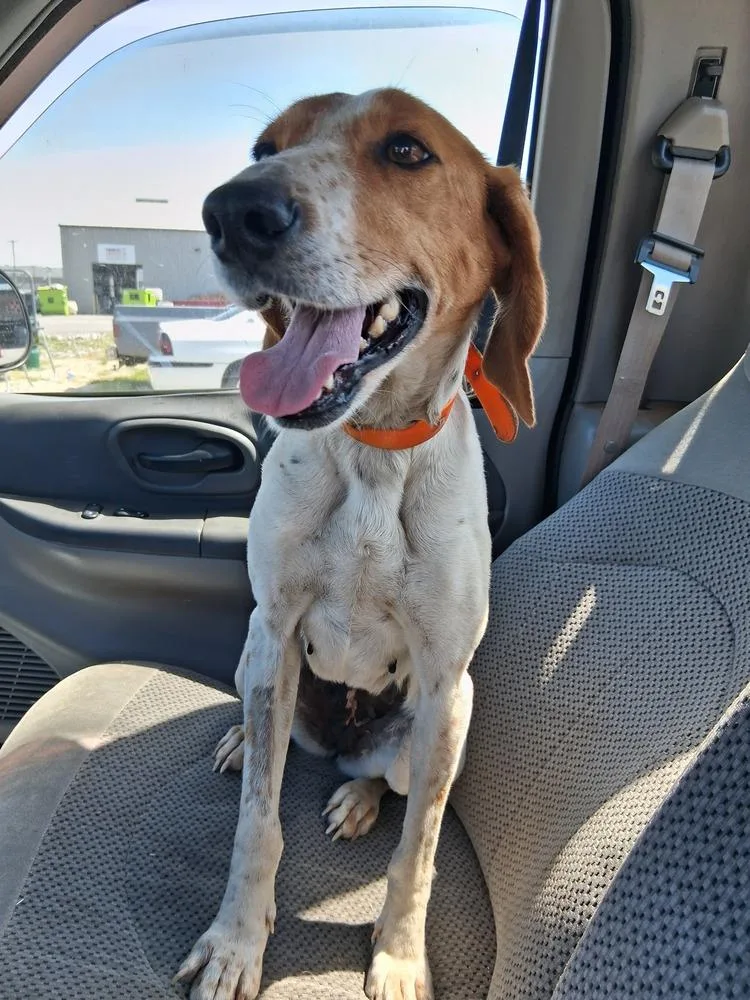 Mama Mia thumbnail 2