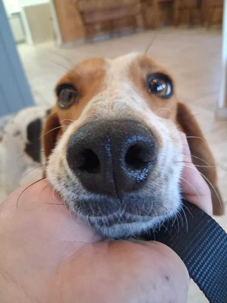 Mama Mia thumbnail 3