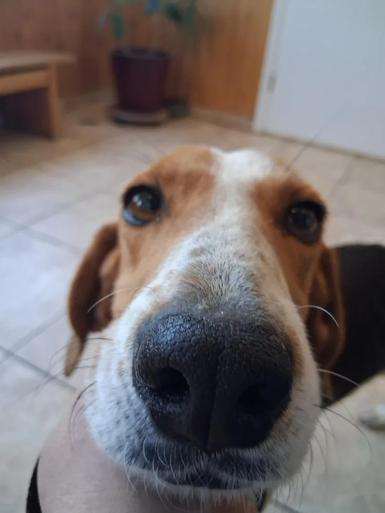 Mama Mia thumbnail 4