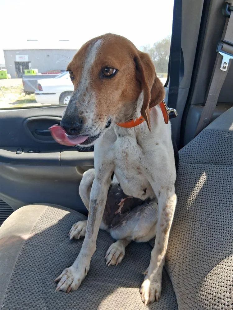 Mama Mia thumbnail 5