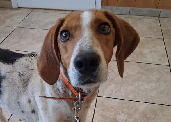 Mama Mia thumbnail 6