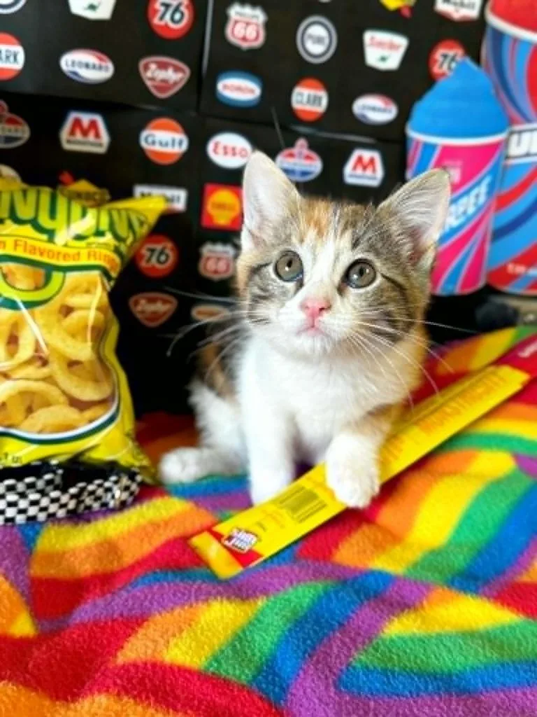 Funyun thumbnail 2