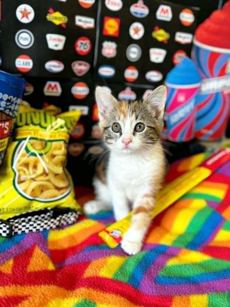 Funyun thumbnail 3