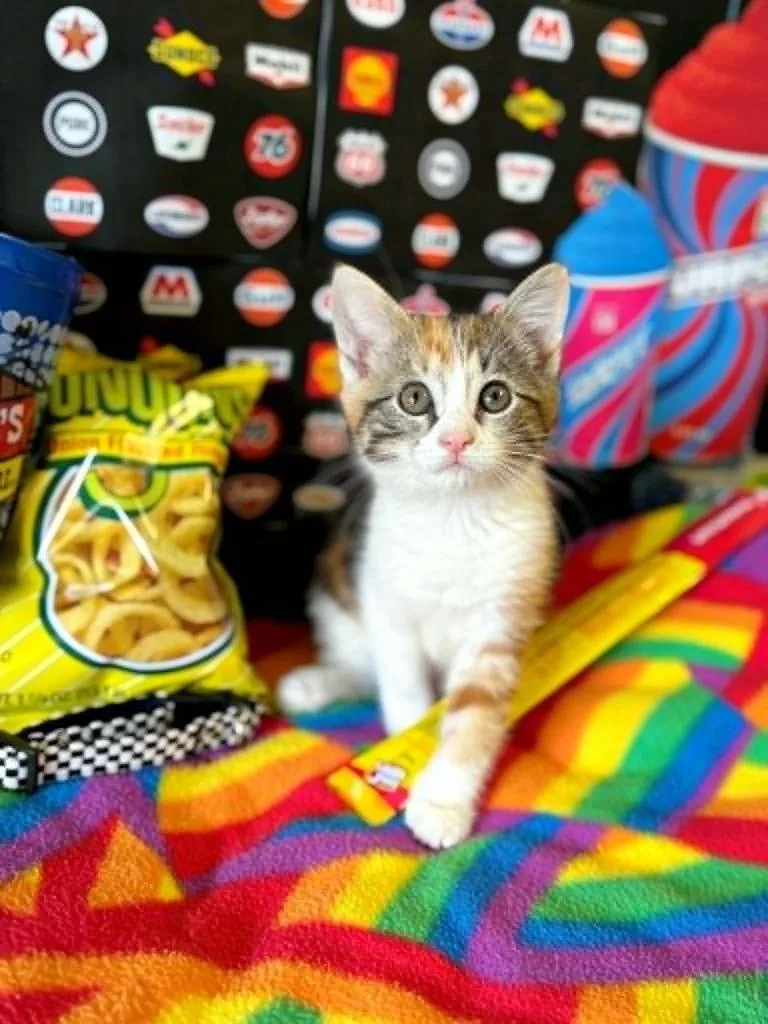 Funyun thumbnail 4