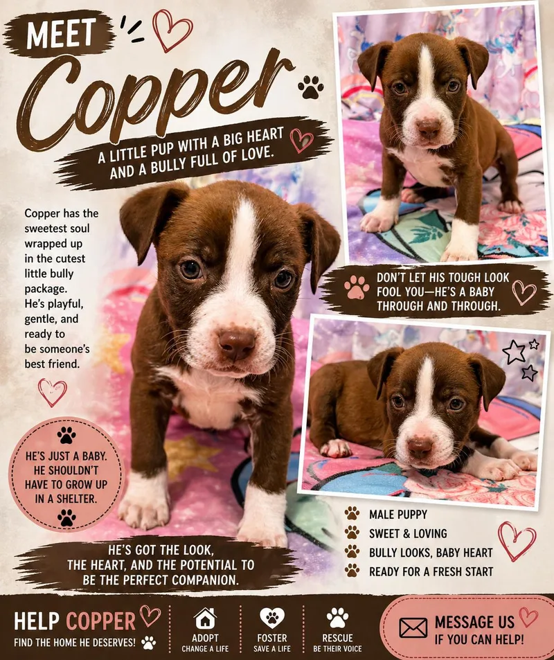Copper thumbnail 3