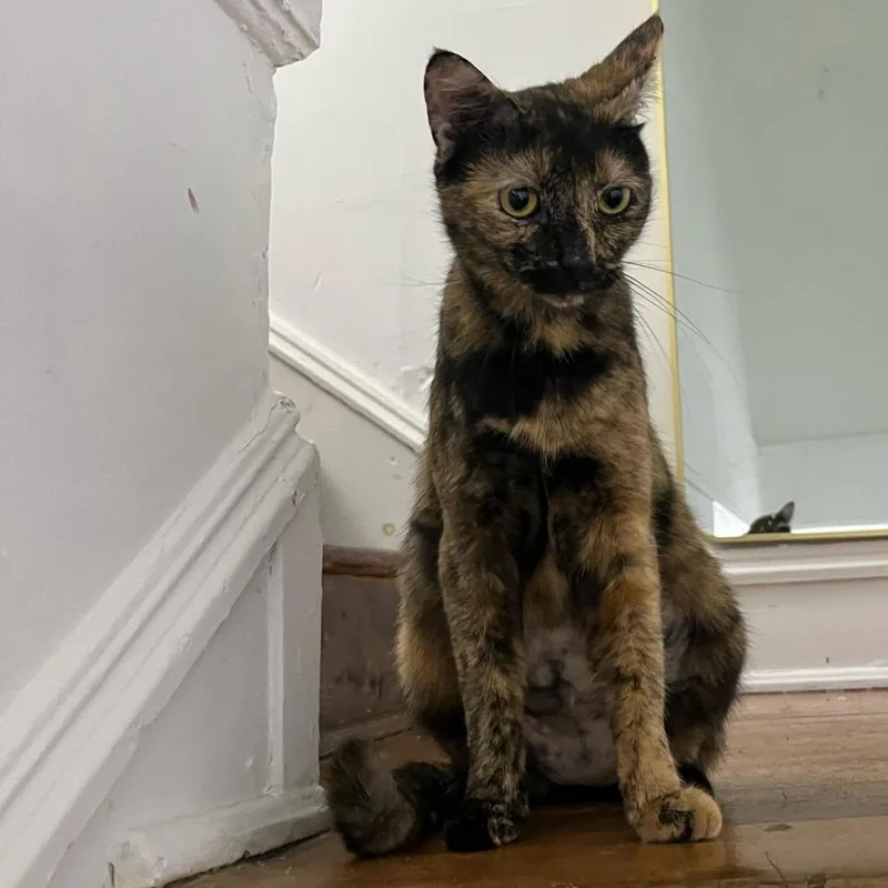 Girlfriend thumbnail 2