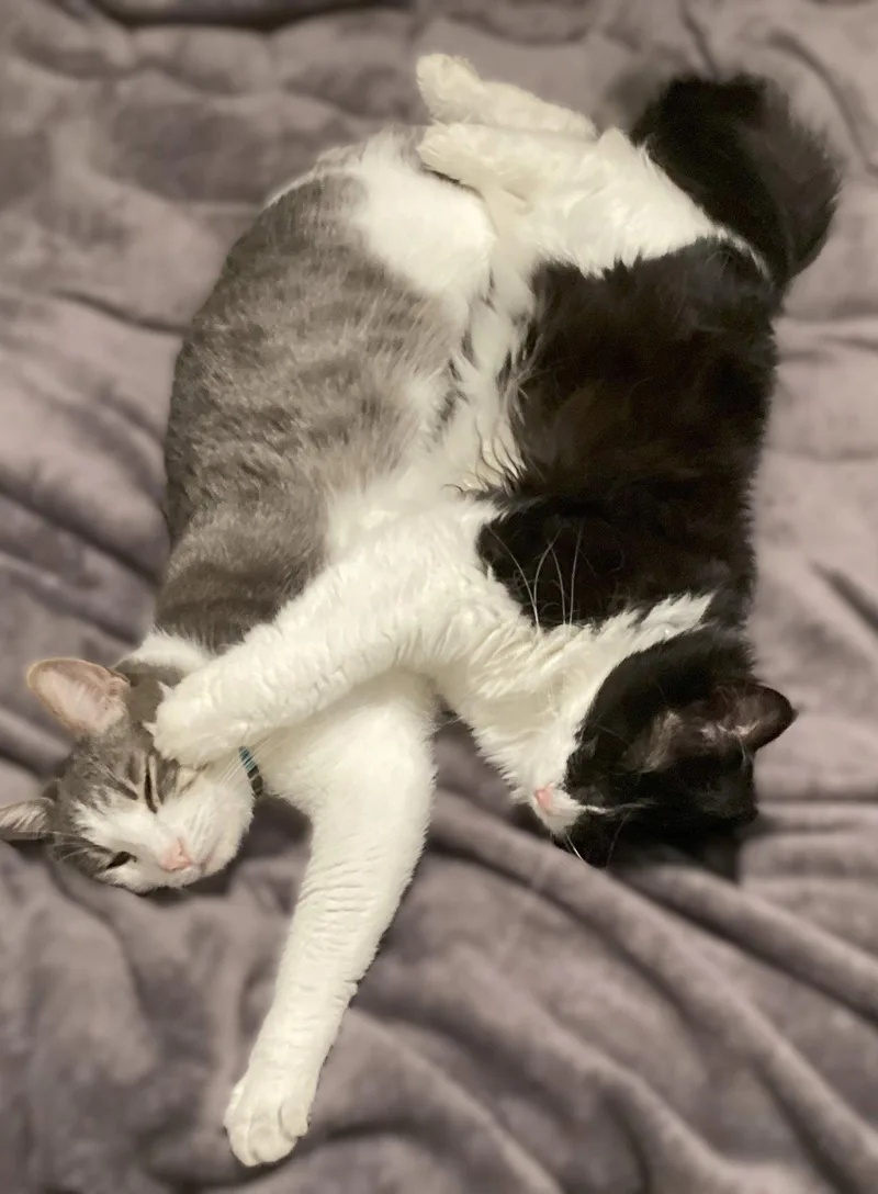 Cletus And Myrtle thumbnail 2