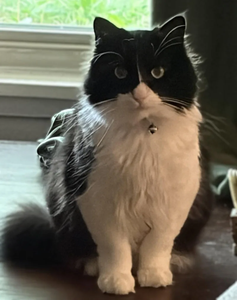 Cletus And Myrtle thumbnail 3