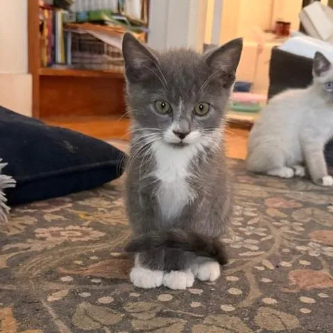 Catrick Swayze thumbnail 4