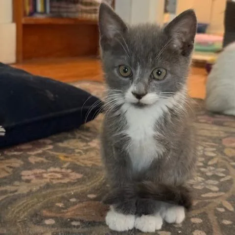 Catrick Swayze thumbnail 5