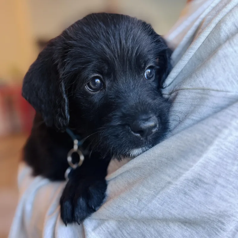 Natalie Woofs thumbnail 3