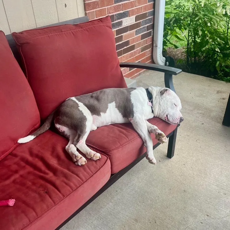 Mr. Worldwide thumbnail 2