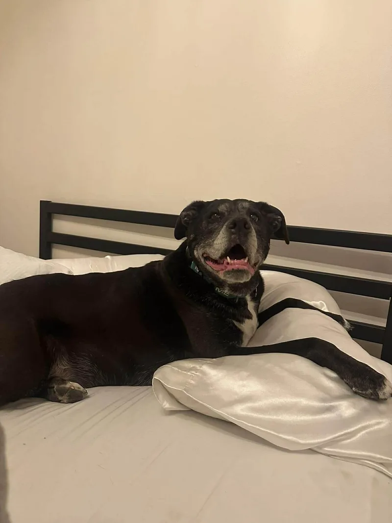 Sweet Pea thumbnail 2