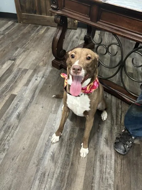 Marley