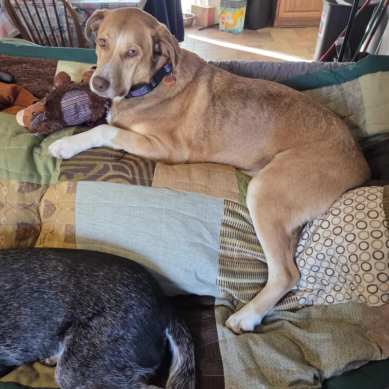 Sienna A+ thumbnail 3