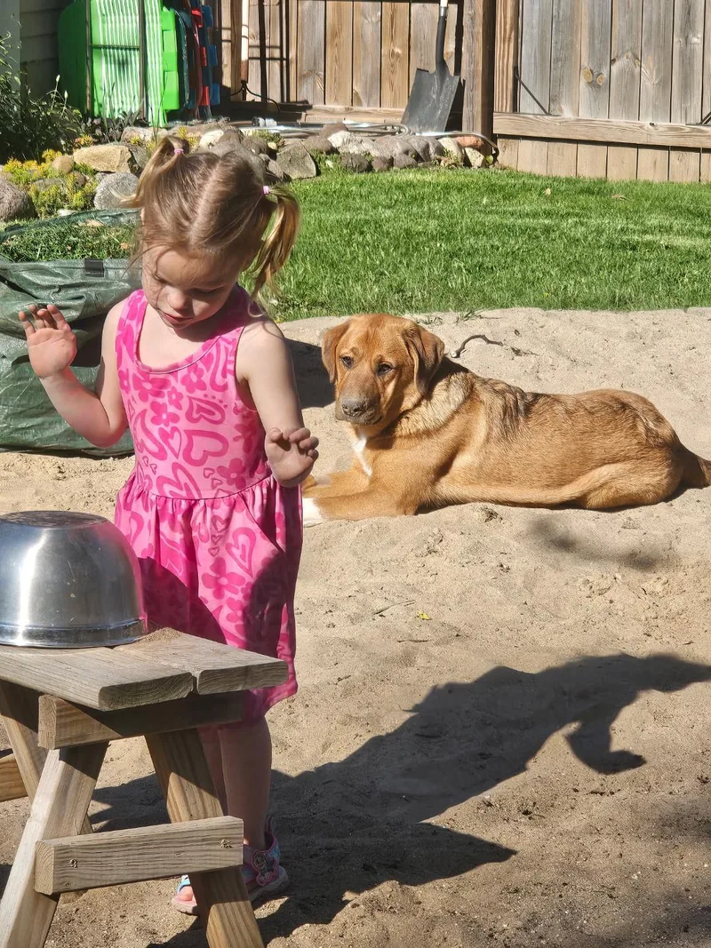 Sienna A+ thumbnail 4