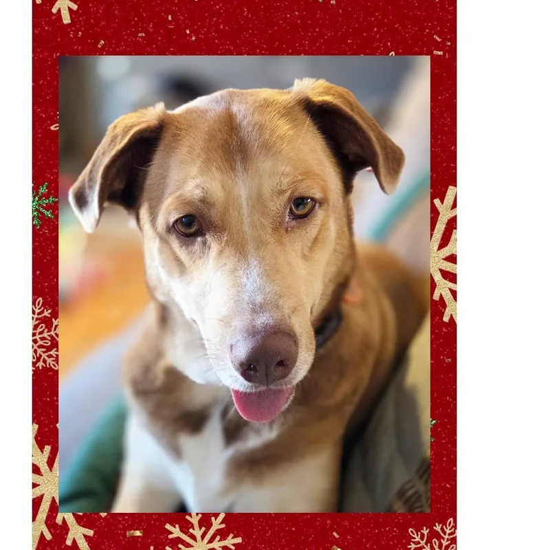 Sienna A+ thumbnail 5