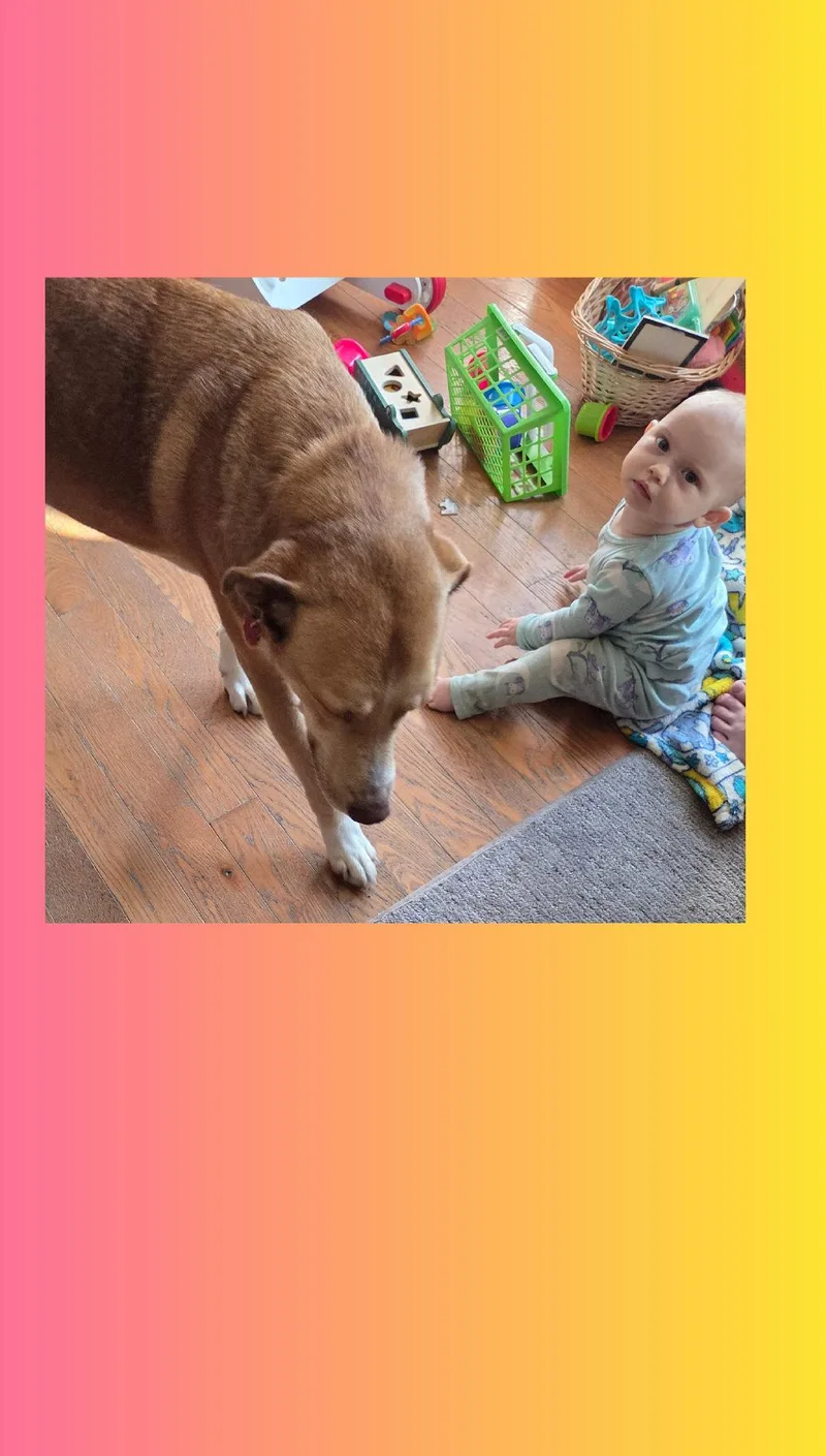 Sienna A+ thumbnail 6