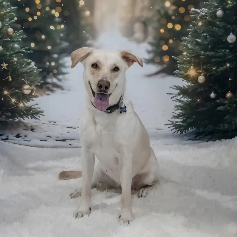 Esperanza A thumbnail 2