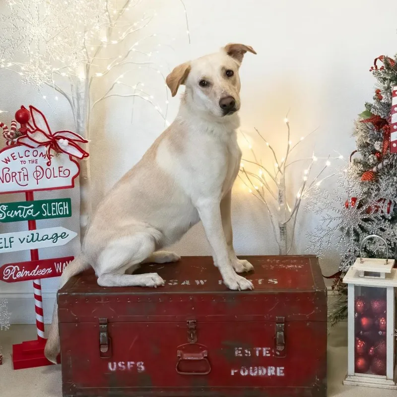 Esperanza A thumbnail 3