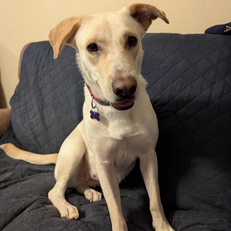 Esperanza A thumbnail 4