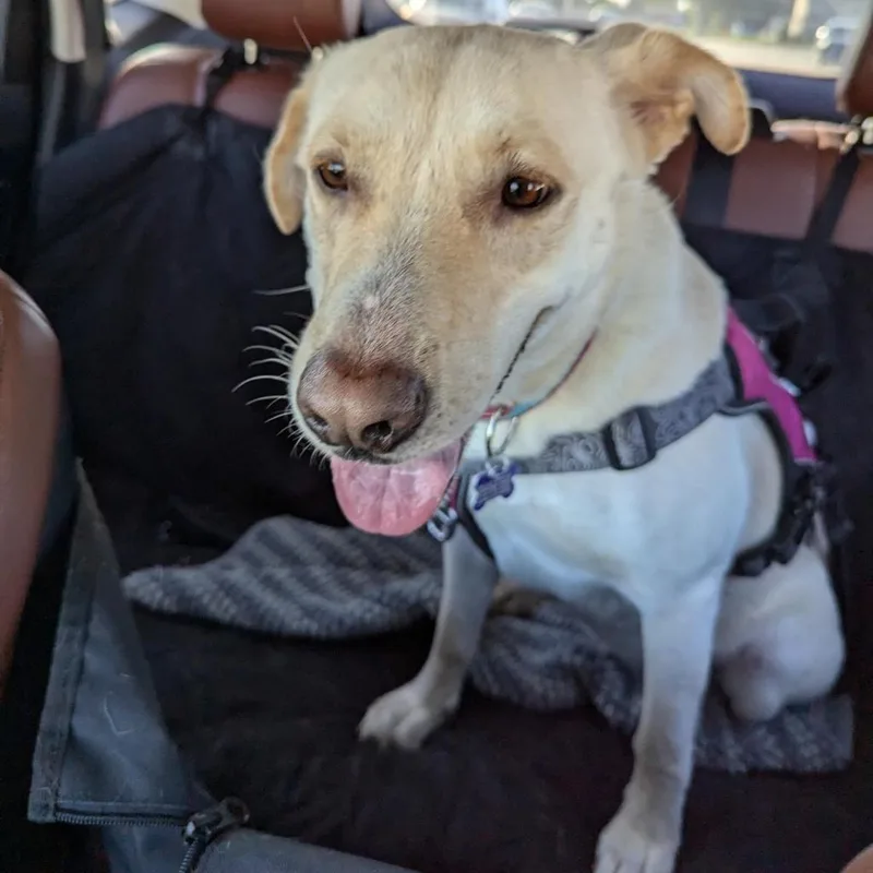 Esperanza A thumbnail 5