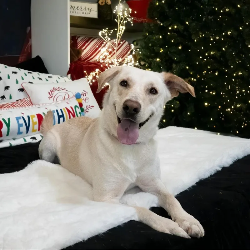 Esperanza A thumbnail 6