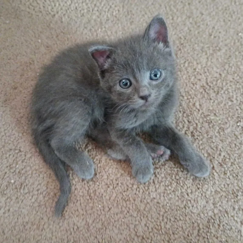 Cristiano thumbnail 3