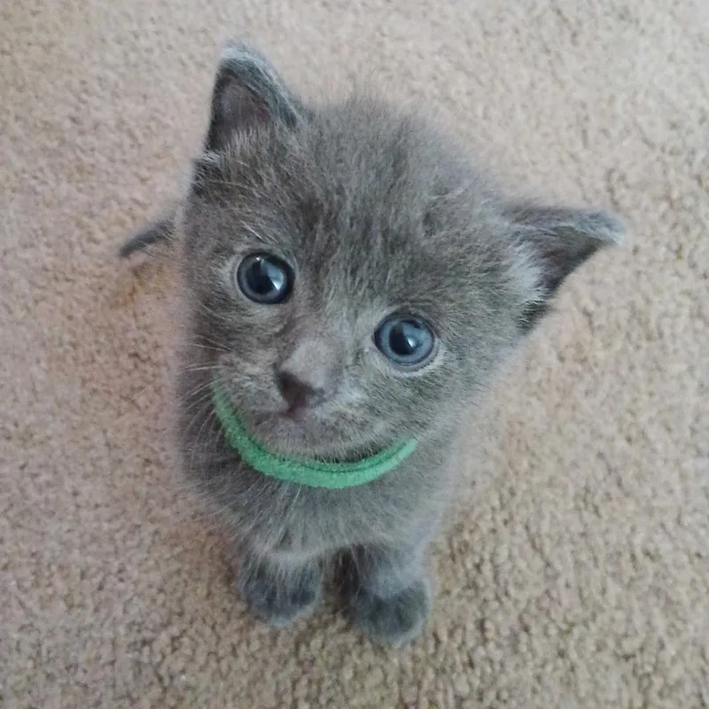 Cristiano thumbnail 5