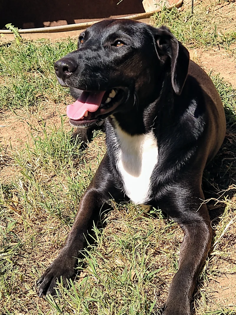 Bonnie Buchanan thumbnail 3