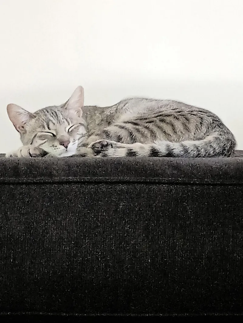 Spice Girl thumbnail 2