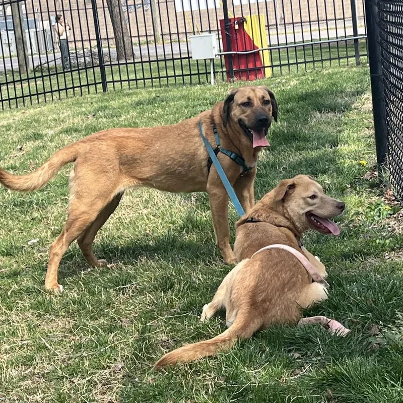 Twizzler thumbnail 3