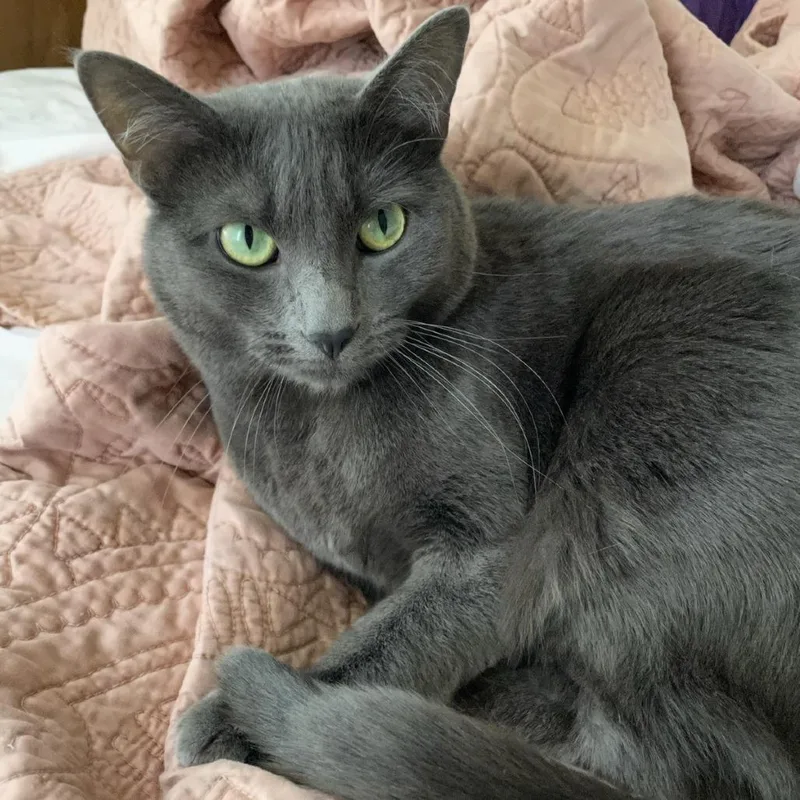 Lafayette
