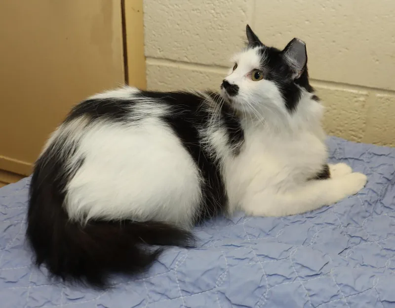 Delilah thumbnail 6