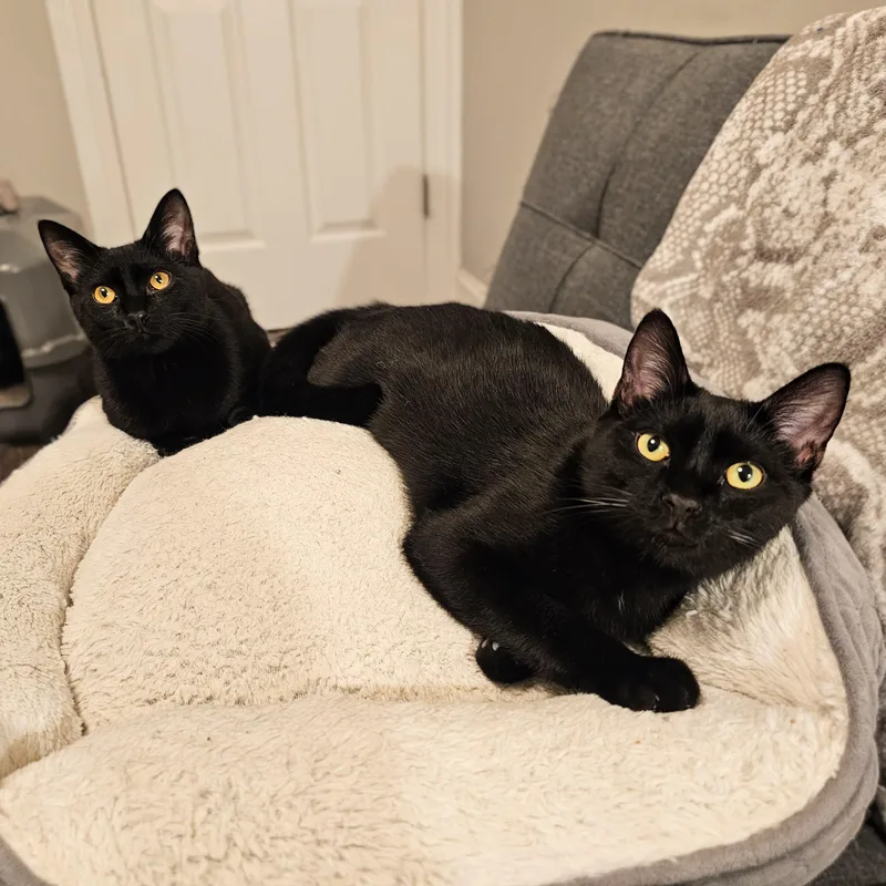 Ned And Brian thumbnail 3