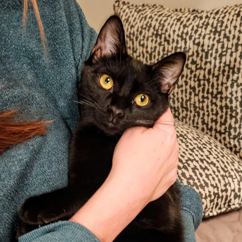 Ned And Brian thumbnail 5