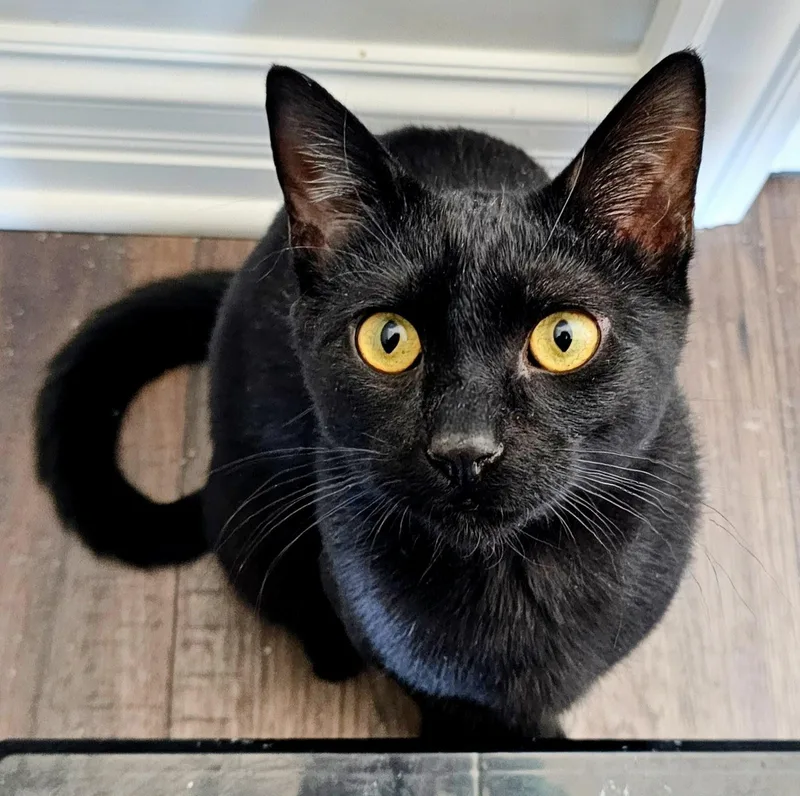 Ned And Brian thumbnail 6