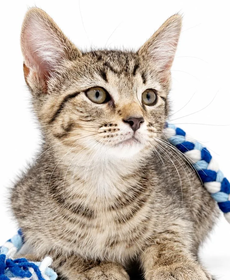 Charlie is cuter than thumbnail 5
